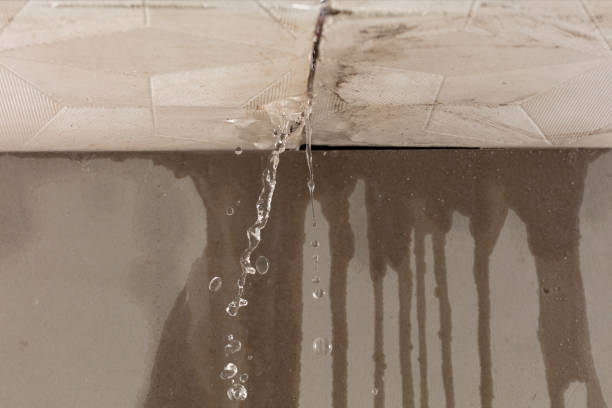 Professional Water Damage Inspection technician working in Warsaw, MN